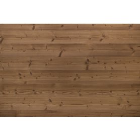 Gladiola_brushed_kartacovany