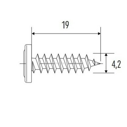 vrut_4,2x19_pozink_pro_Siding_nahled.jpg